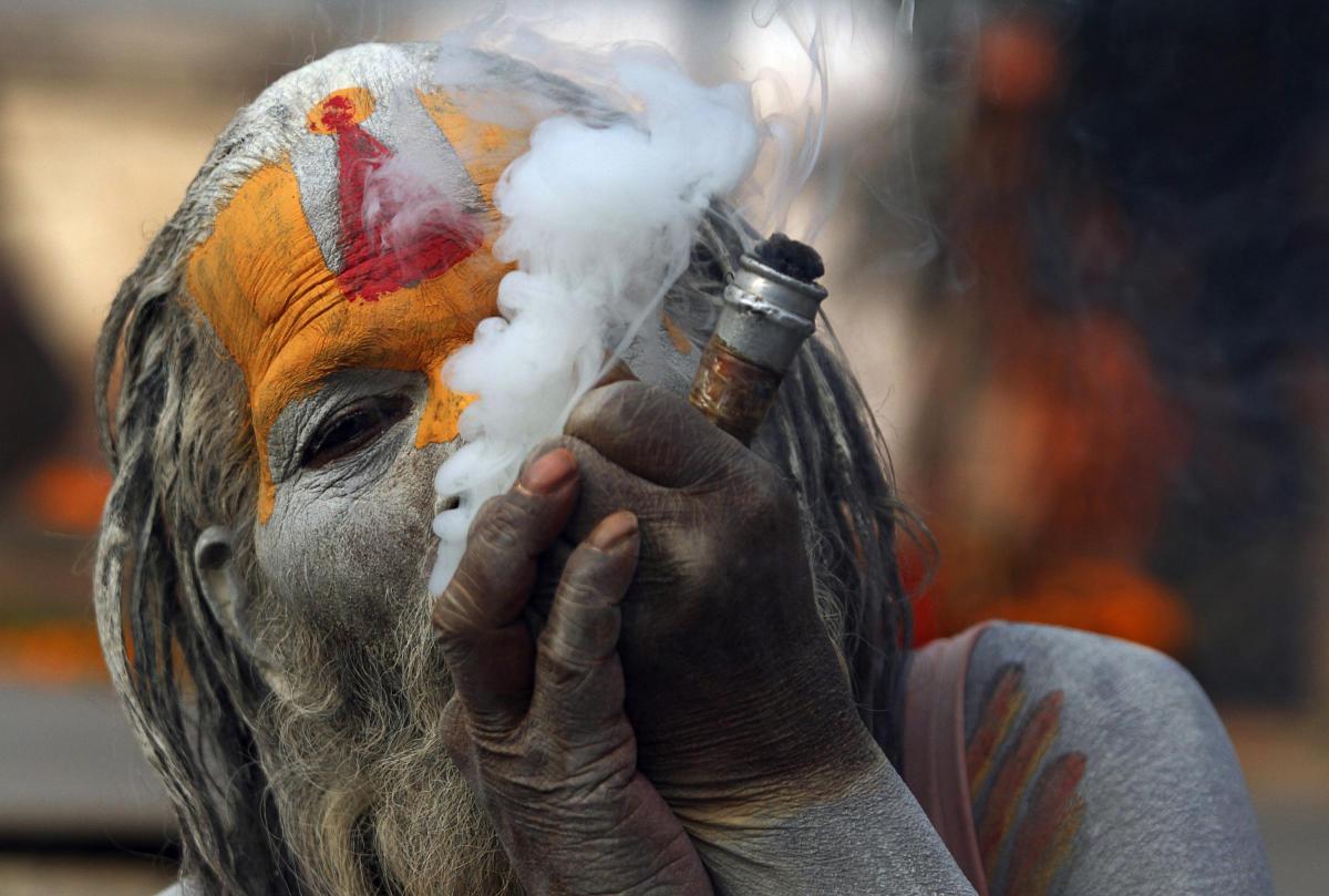 праздник в индии марихуаны